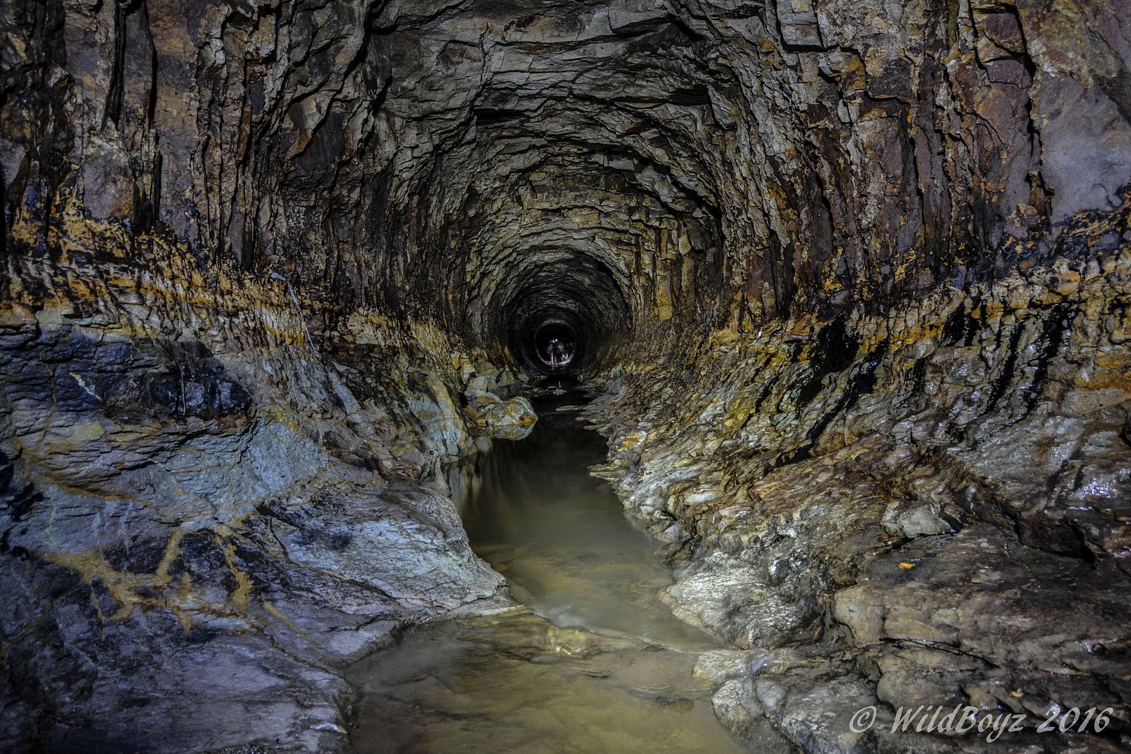 Burford's Batcave, Brisbane December 2015 Oblivion State Urban